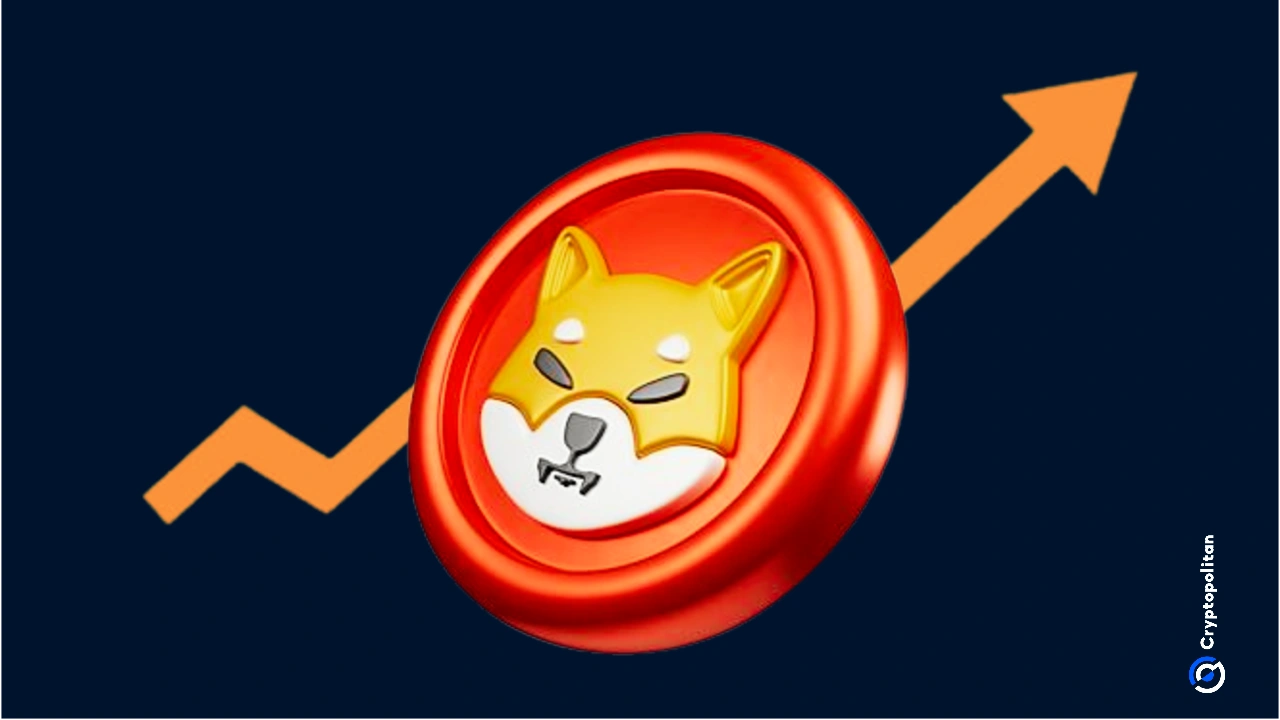 Shiba Inu的首席开发者草间弥生揭穿了TREAT的虚假声明