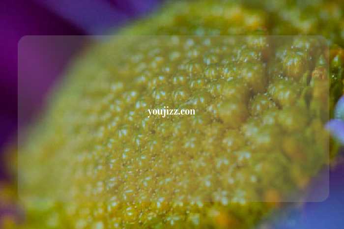 youjizz.con