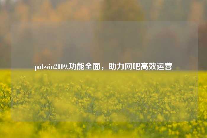 pubwin2009,功能全面，助力网吧高效运营