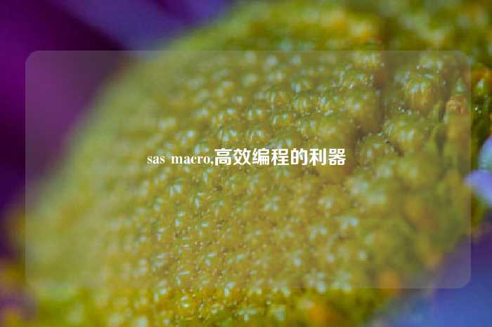 sas macro,高效编程的利器