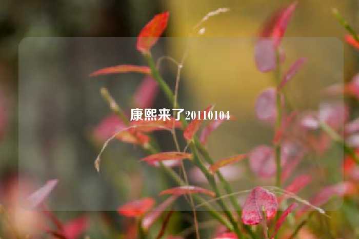 康熙来了20110104