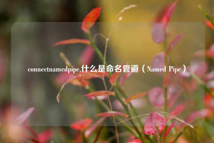 connectnamedpipe,什么是命名管道（Named Pipe）