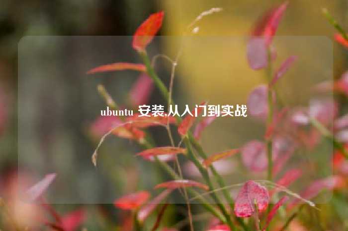 ubuntu 安装,从入门到实战