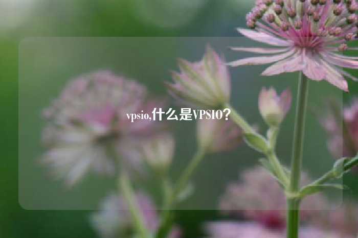 vpsio,什么是VPSIO?
