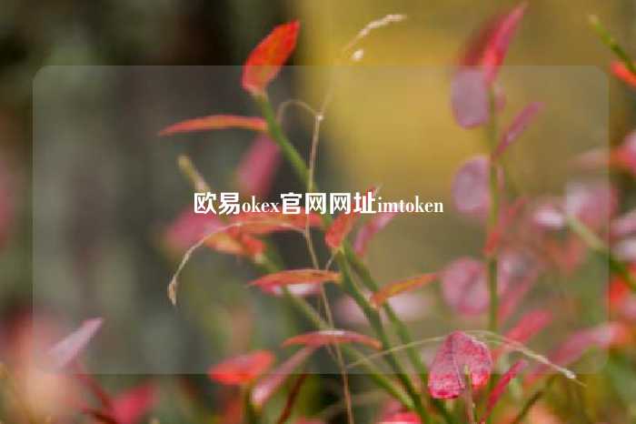 欧易okex官网网址imtoken