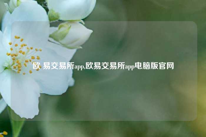 欧 易交易所app,欧易交易所app电脑版官网