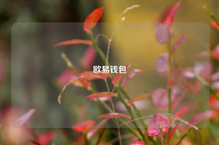 欧易钱包