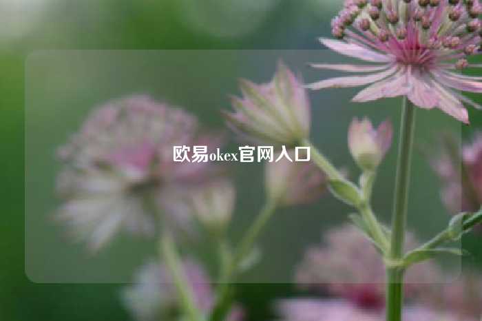 欧易okex官网入口