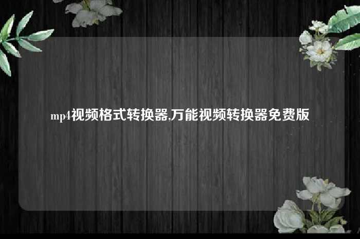 mp4视频格式转换器,万能视频转换器免费版